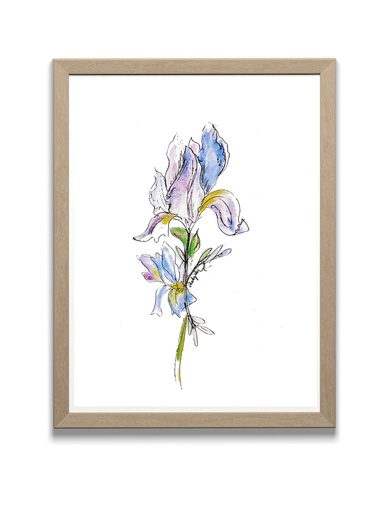 Iris Watercolor - Original Art Print