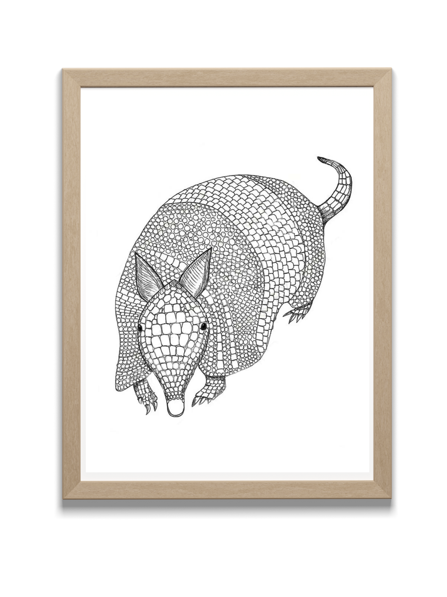 armadillo art print in frame