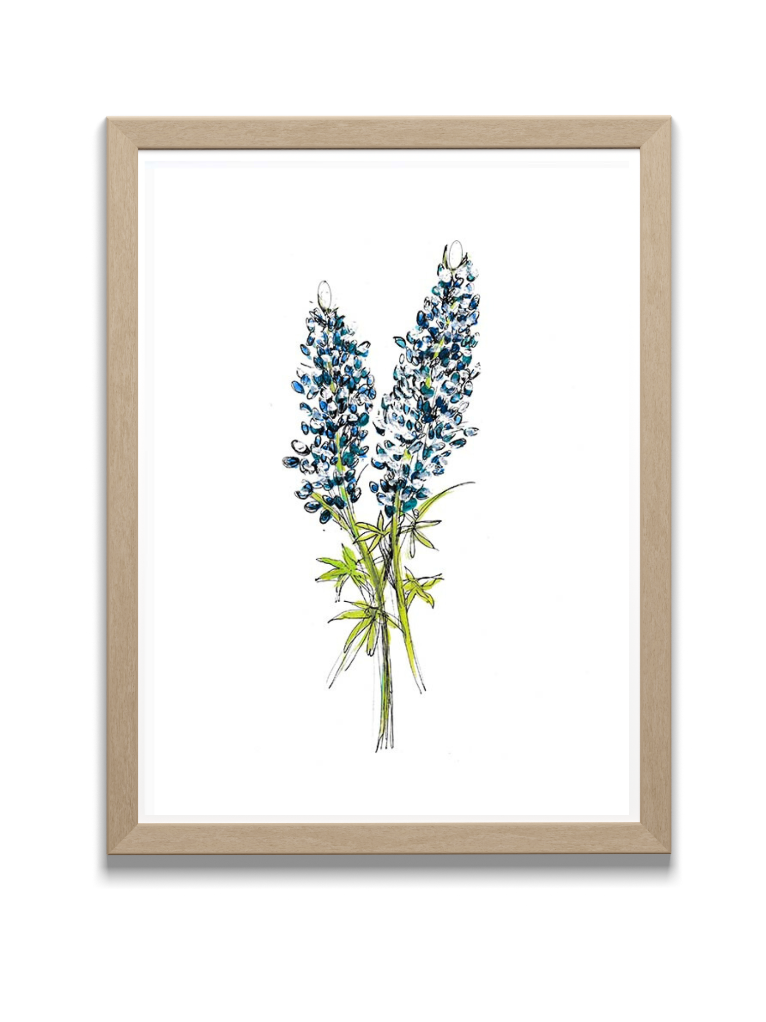 bluebonnet art print in frame