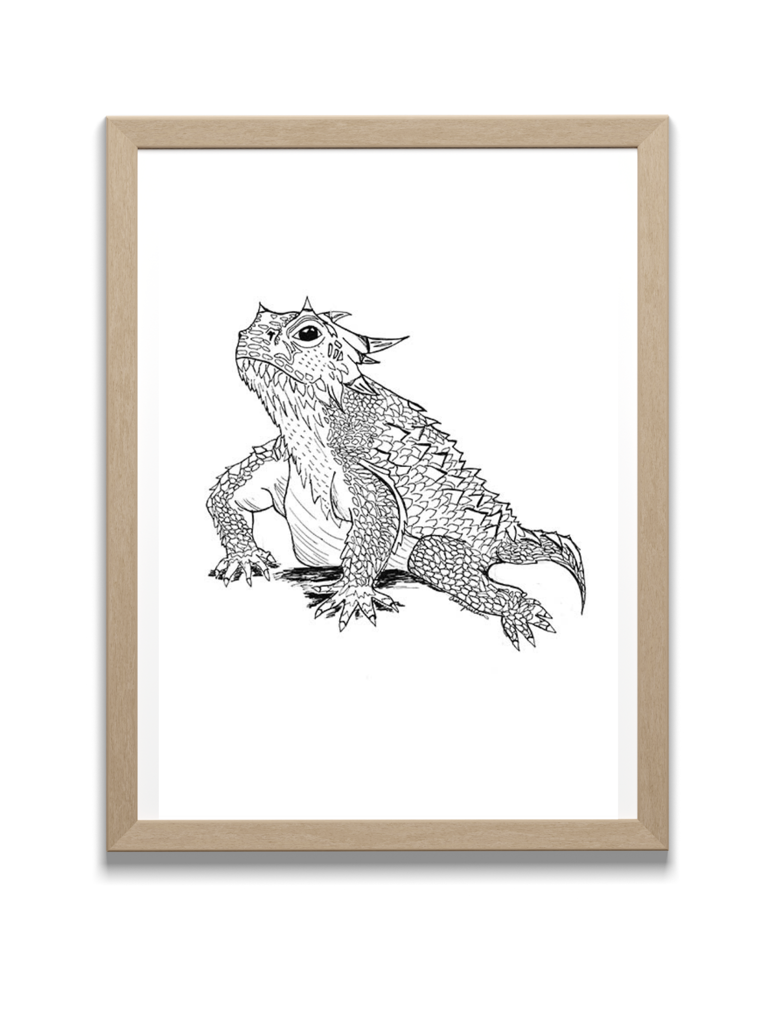 Horned Toad Sketch - Original Art Print