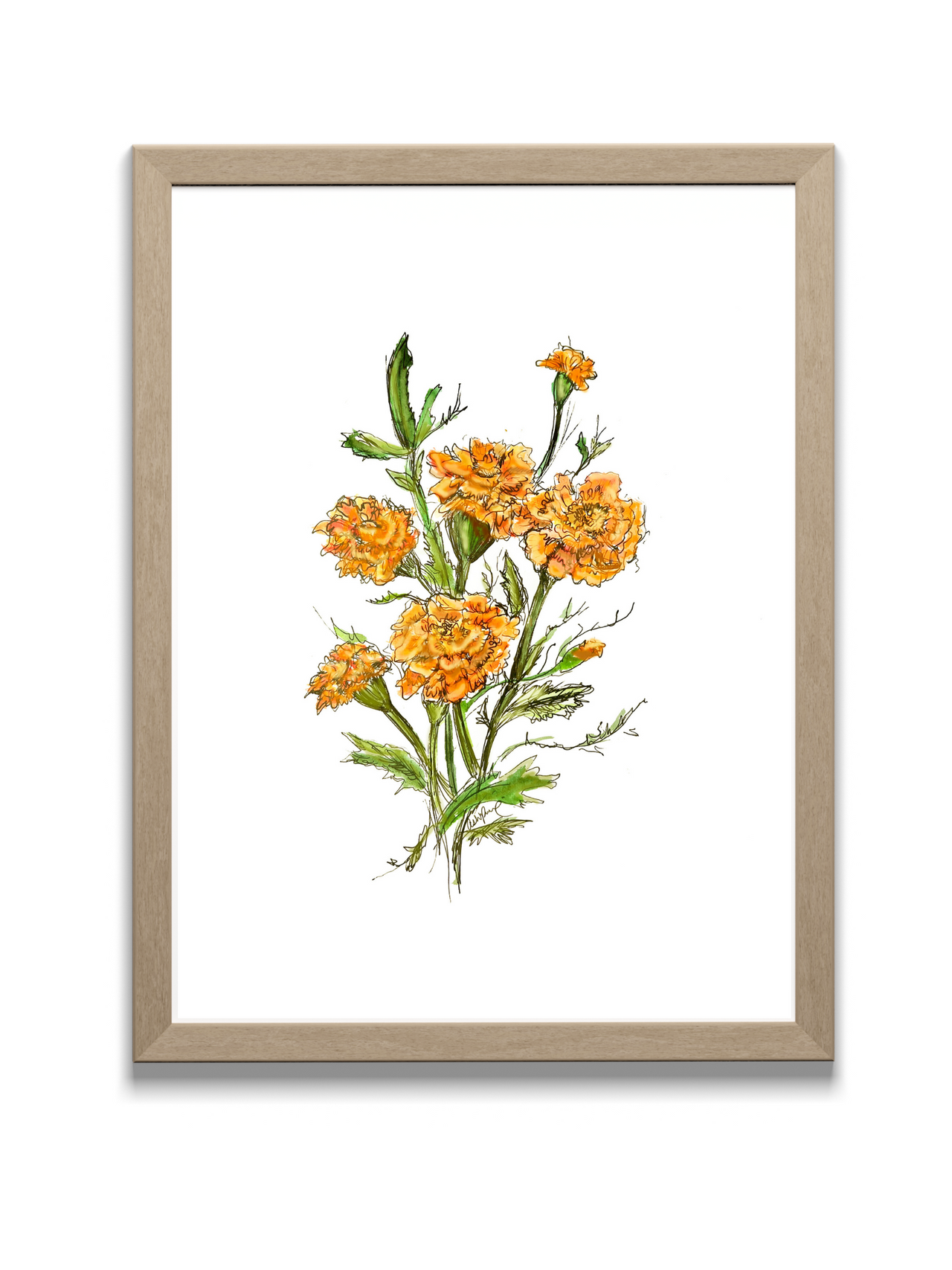 Marigold Watercolor, October Birth Flower - Original Art Print