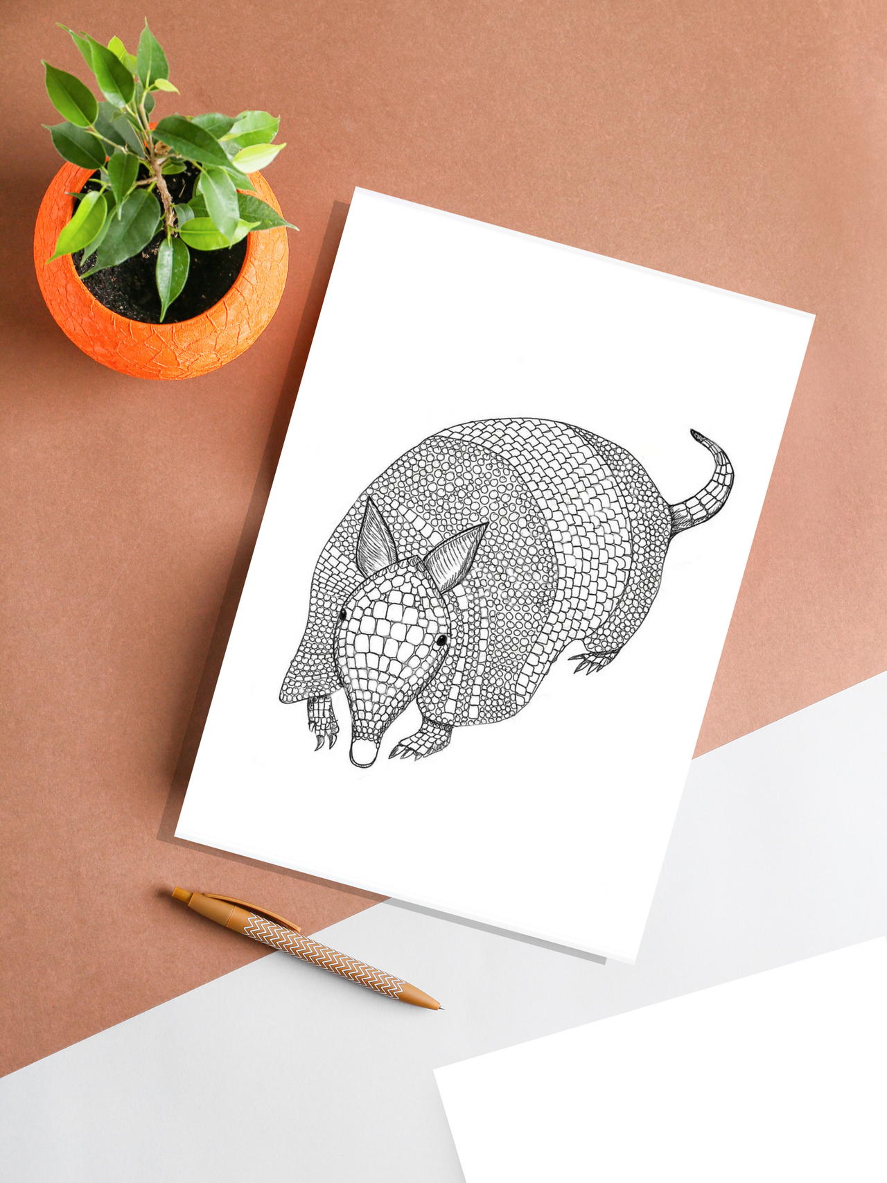 Armadillo Sketch - Original Art Print