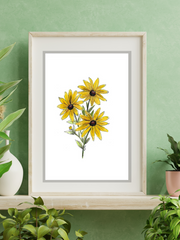 black-eyed susan art print on wall