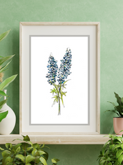 bluebonnet print in a frame on green wall