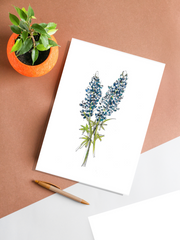 bluebonnet print on a desk