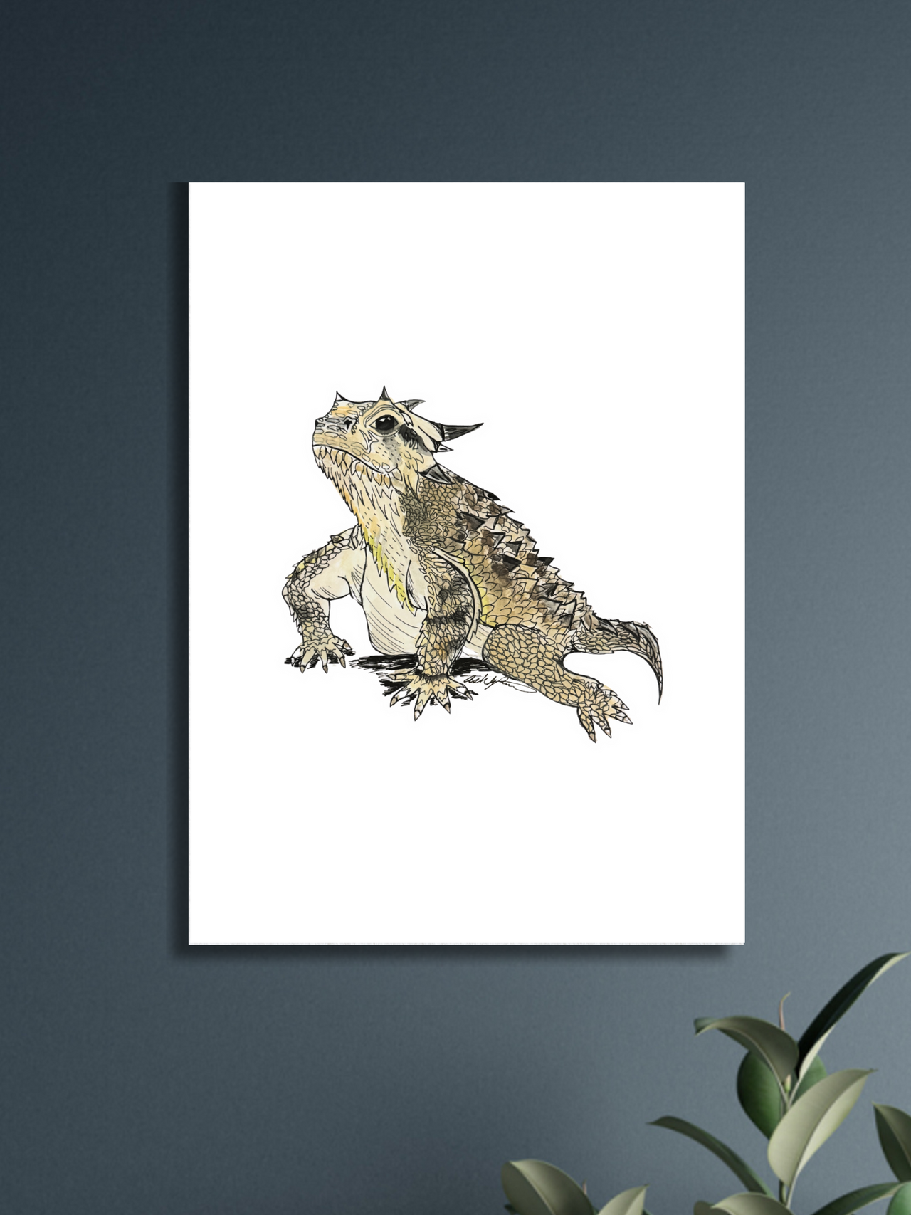 Horned Toad (Color) Print