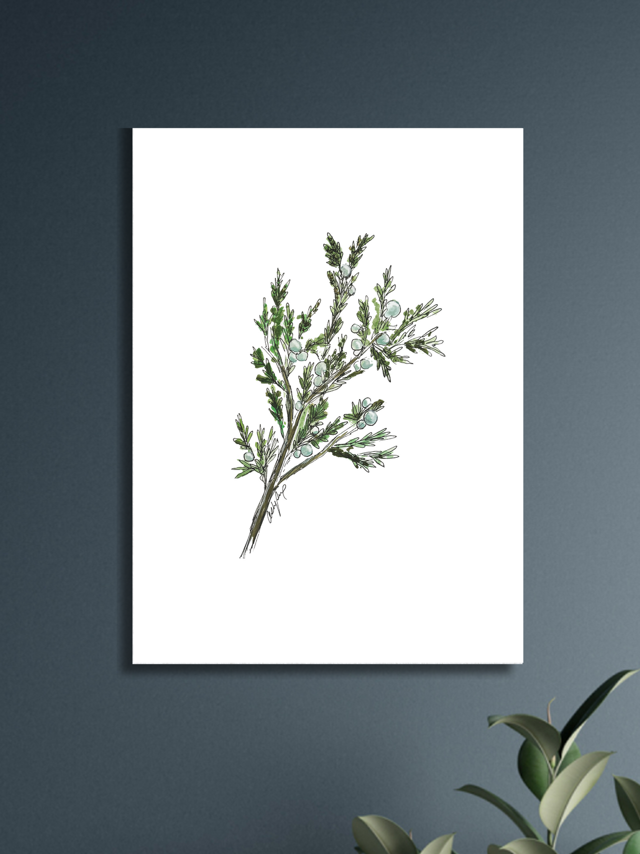 Juniper Watercolor Print