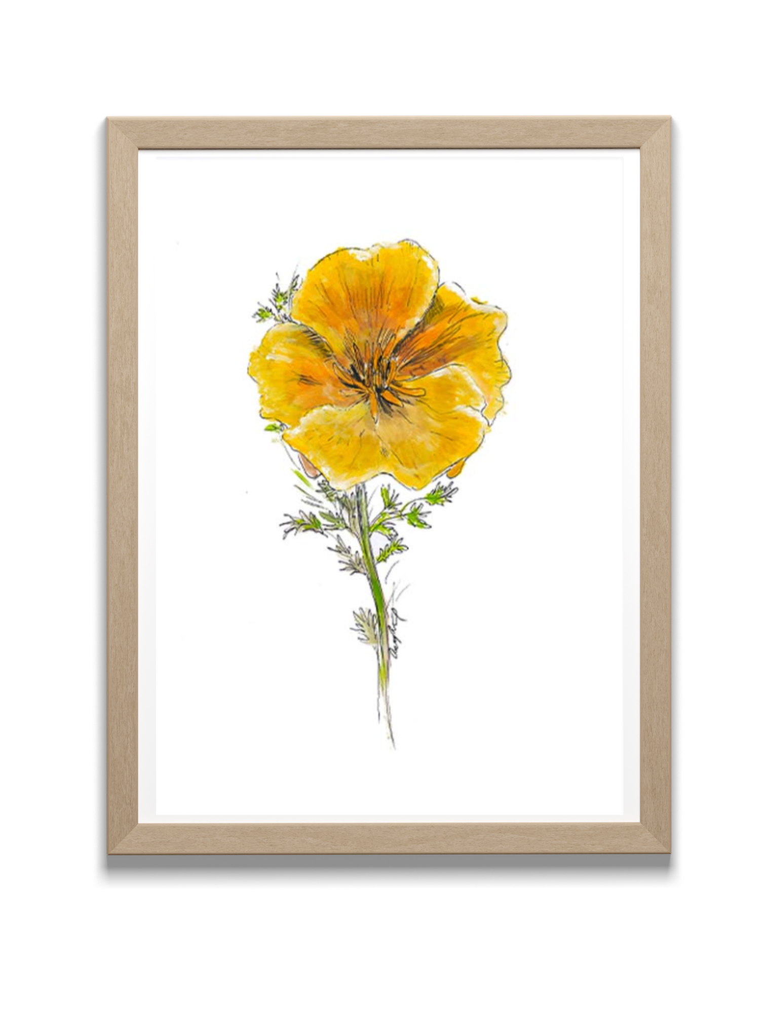 california poppy art print in frame