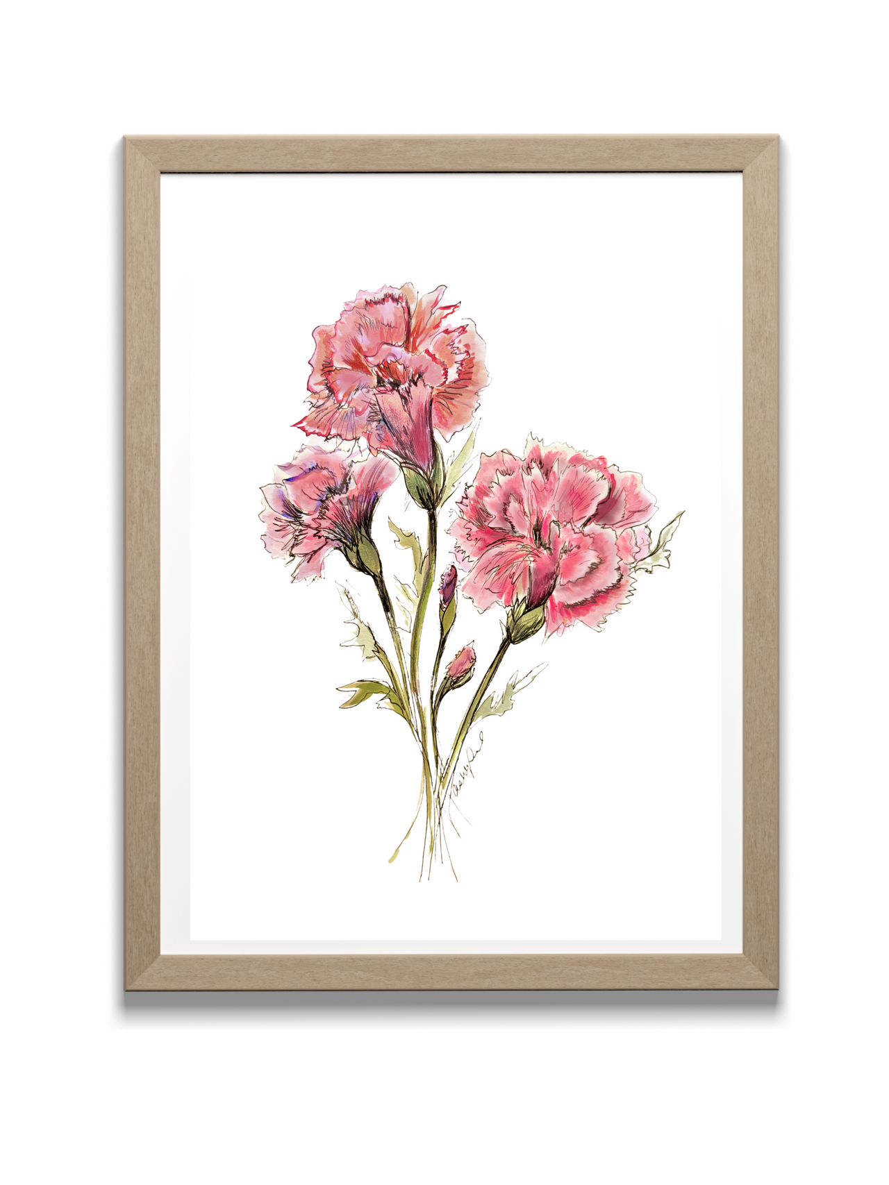 Carnation Watercolor, January Birth Flower, Pink, Original Art Print
