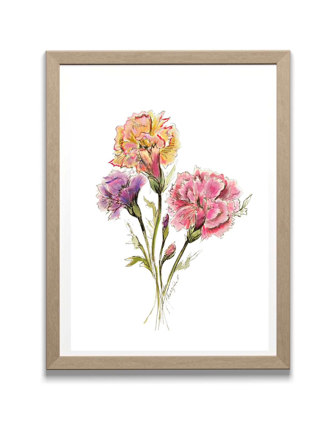 Carnation Watercolor, January Birth Flower, Tri-Color, Original Art Print