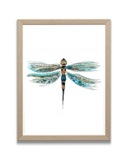 dragonfly art print in frame