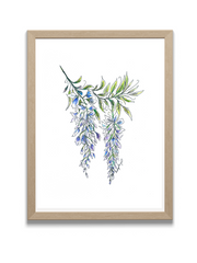 wisteria art print in frame
