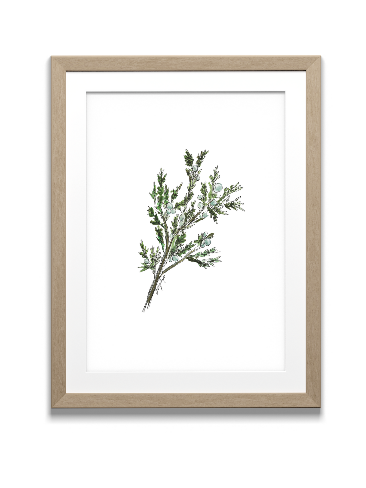 Juniper Watercolor Print