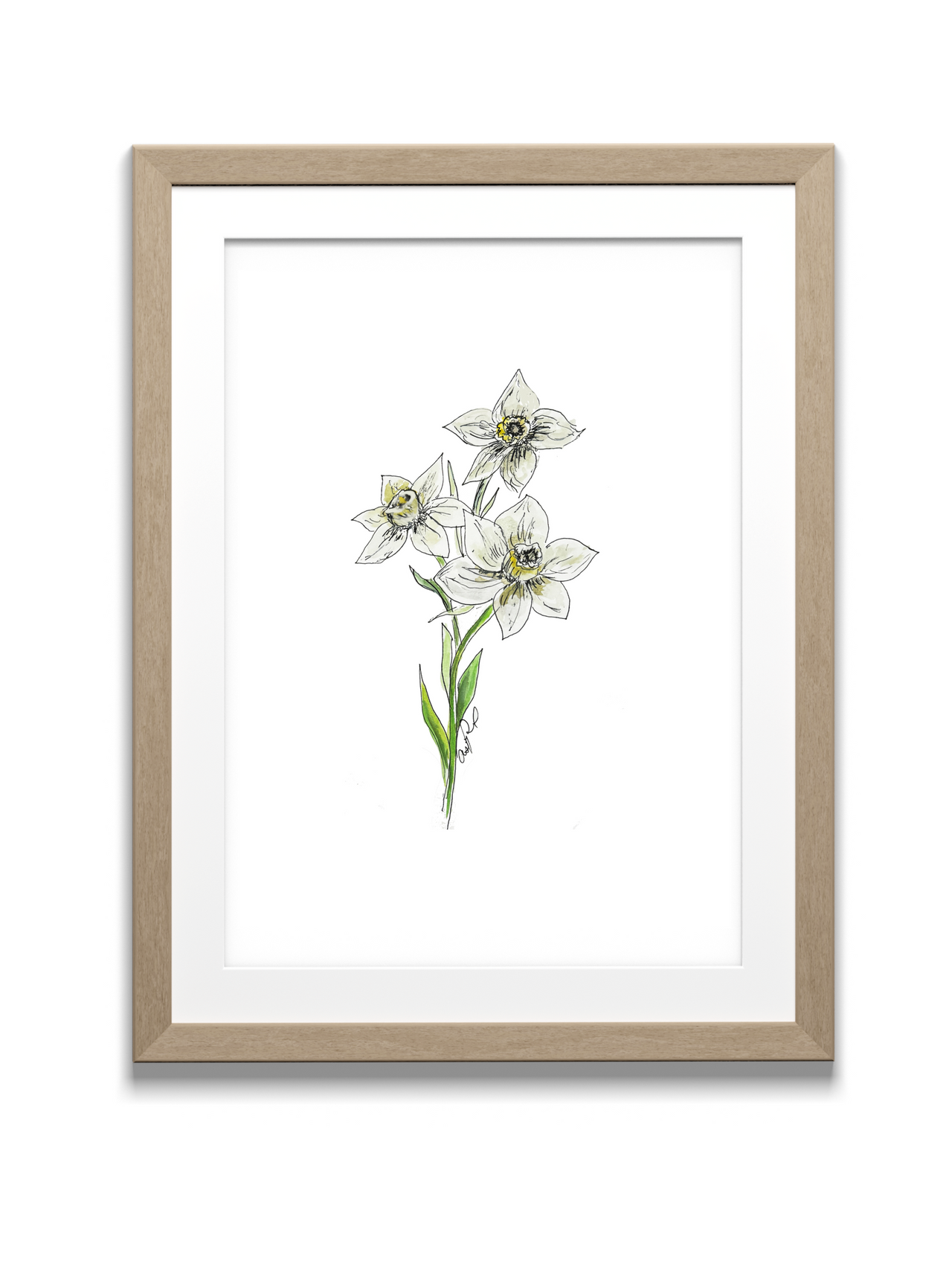 Narcissus Watercolor Print - December Birth Flower