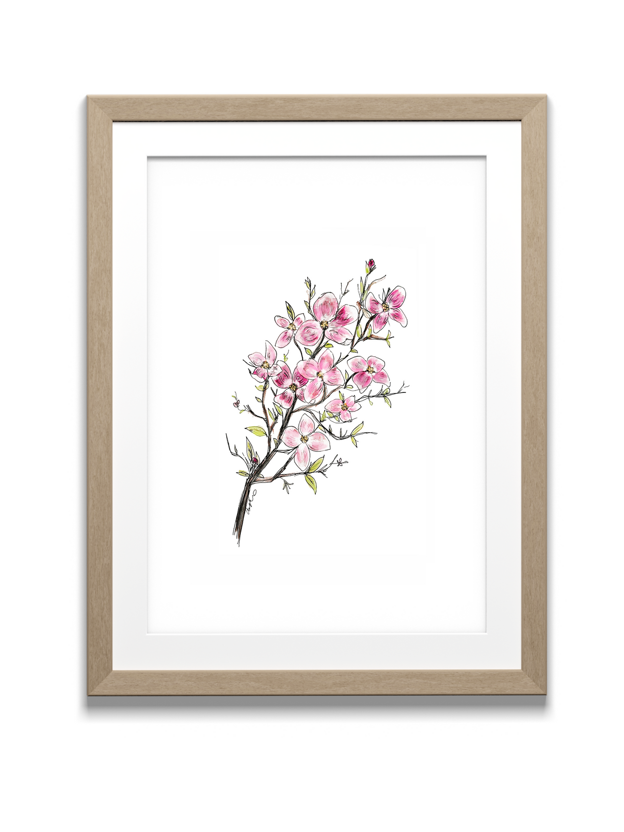 Pink Dogwood Watercolor Print