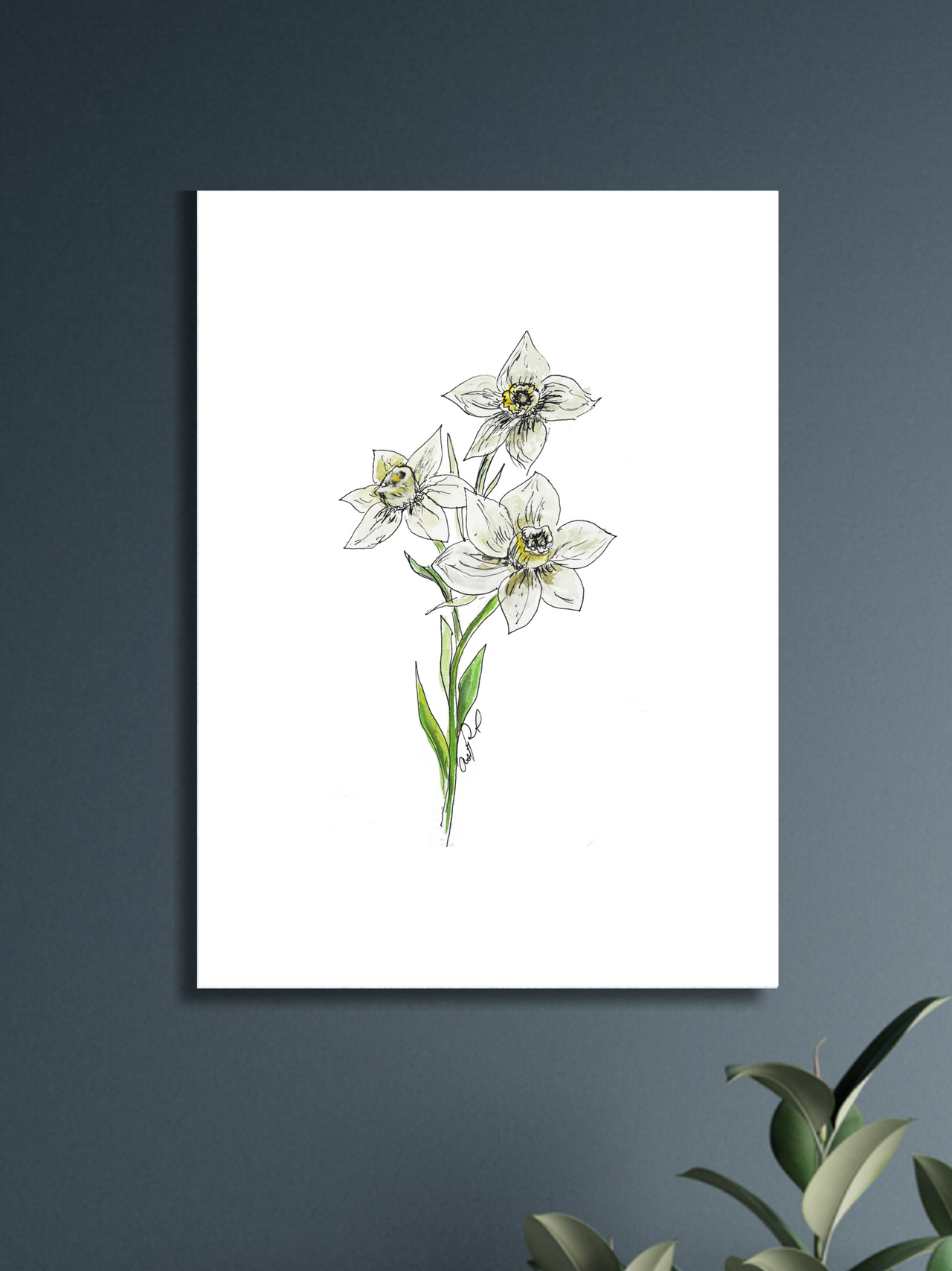 Narcissus Watercolor Print - December Birth Flower