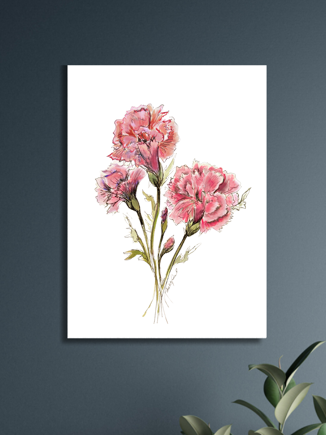 Carnation Watercolor, January Birth Flower, Pink, Original Art Print