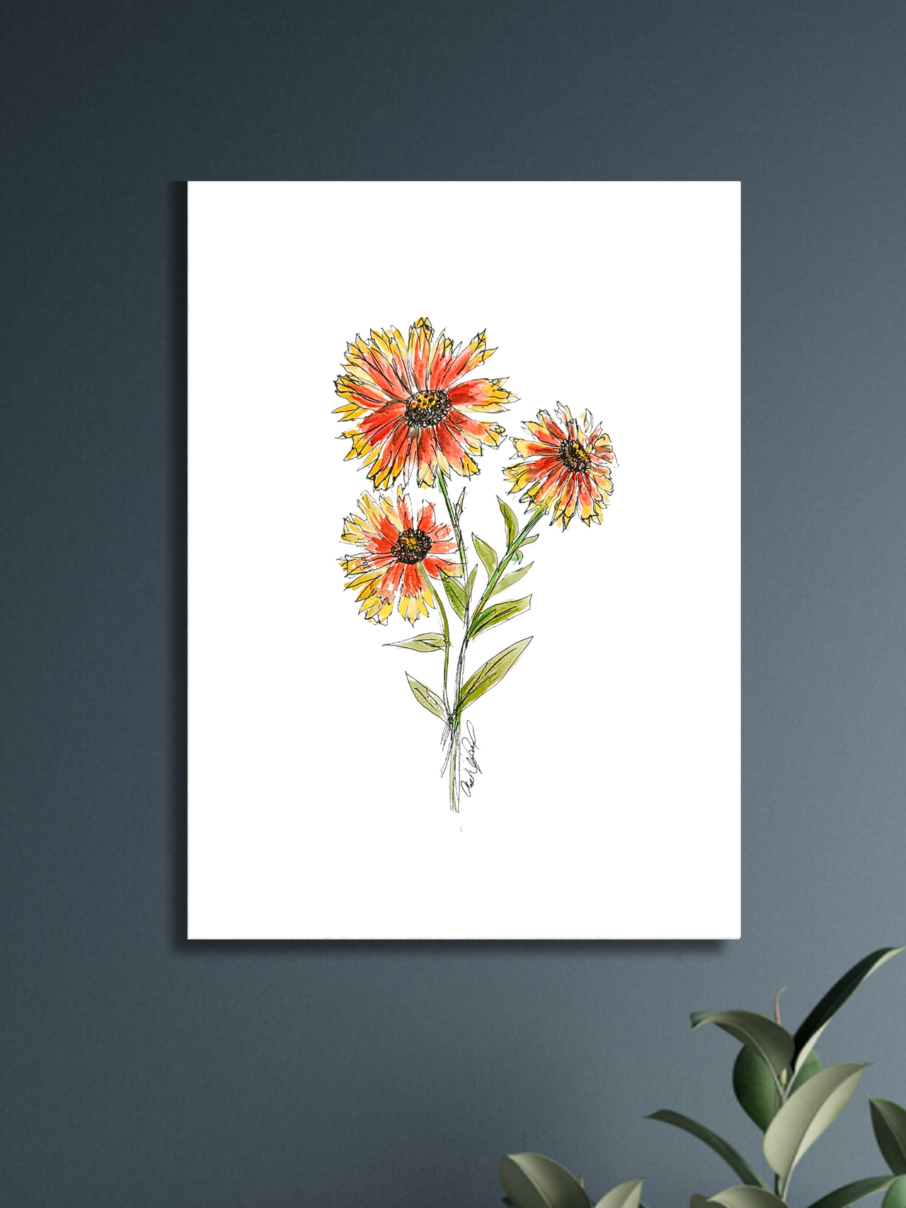 Indian Blanket Watercolor Print