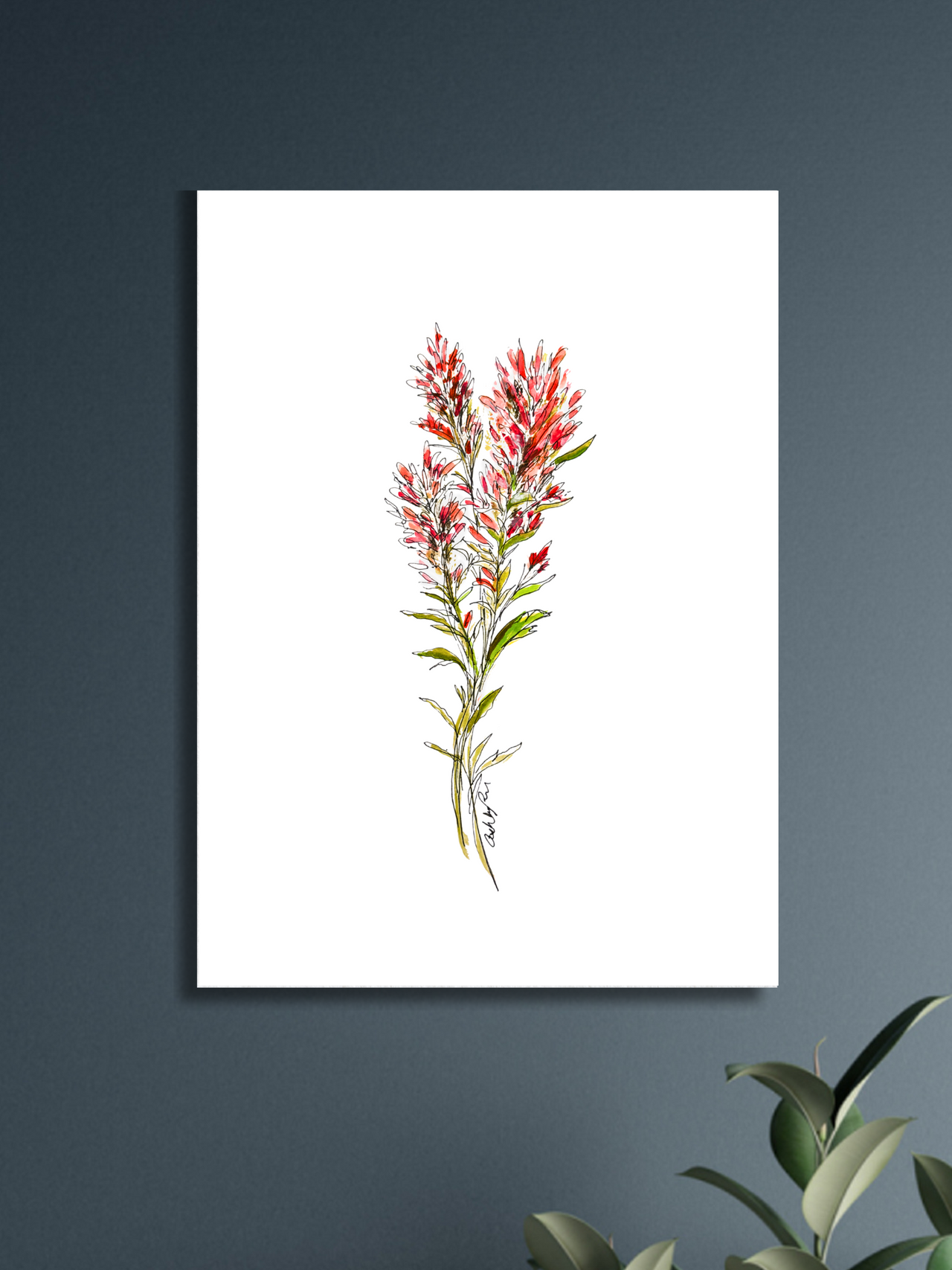 Indian Paintbrush Watercolor Print