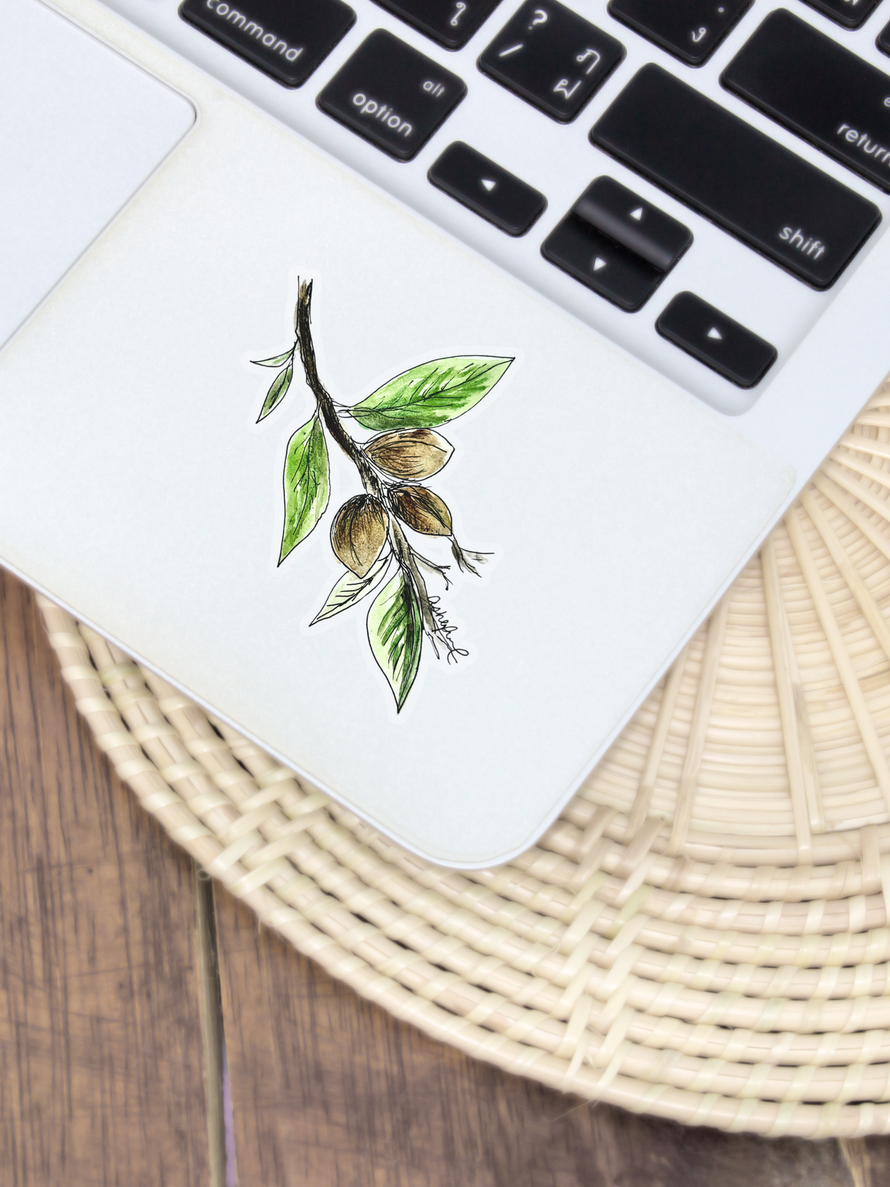 Pecan Tree Sticker (Clear Background, 2.5 x 3.75 inches)