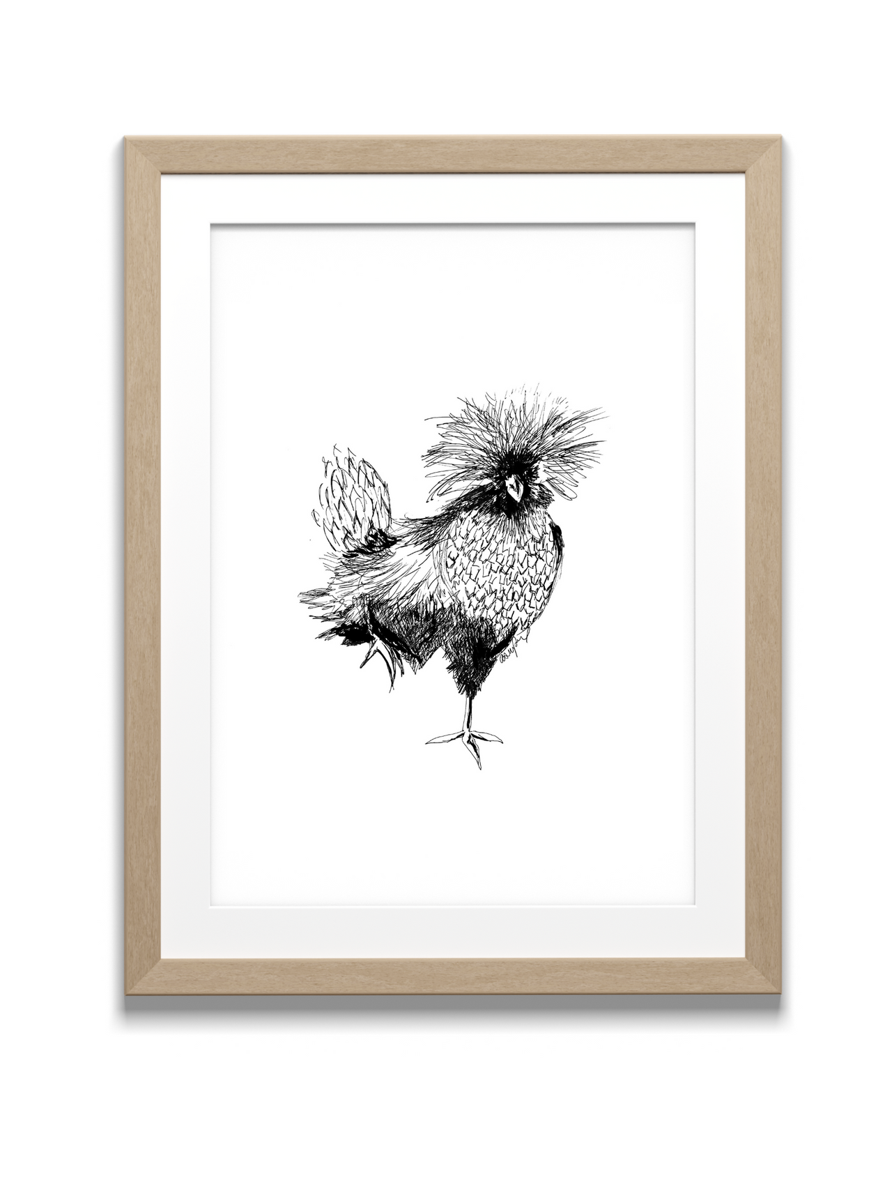 Polish Chicken Sketch Print