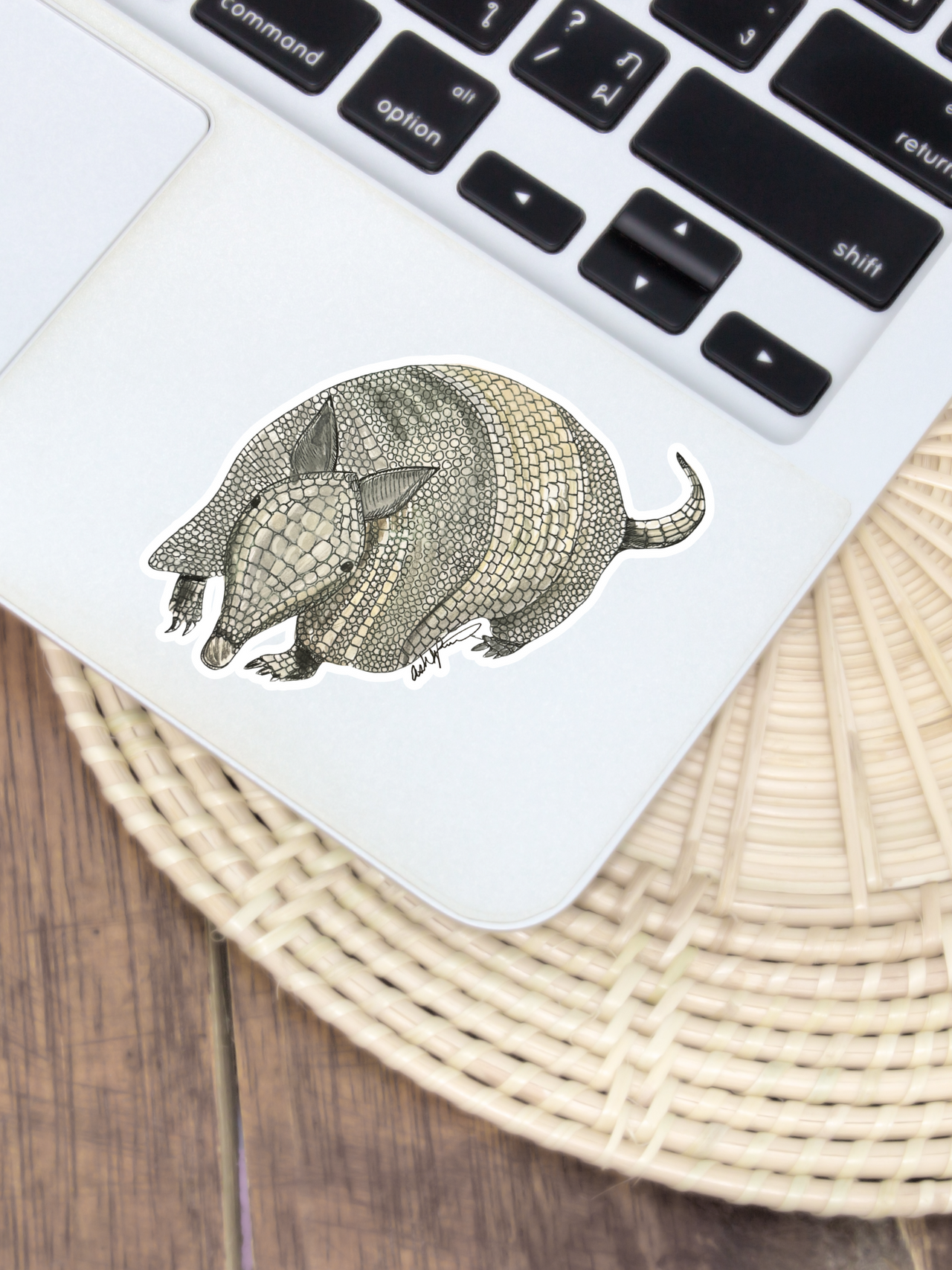 Armadillo Sticker