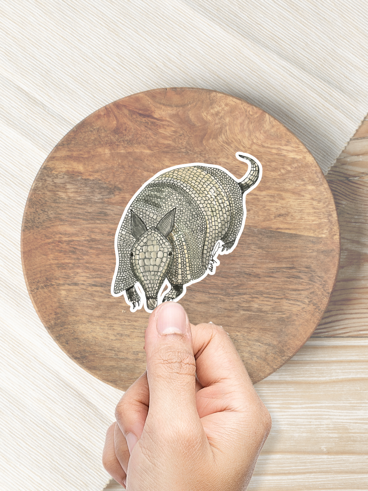 Armadillo Sticker