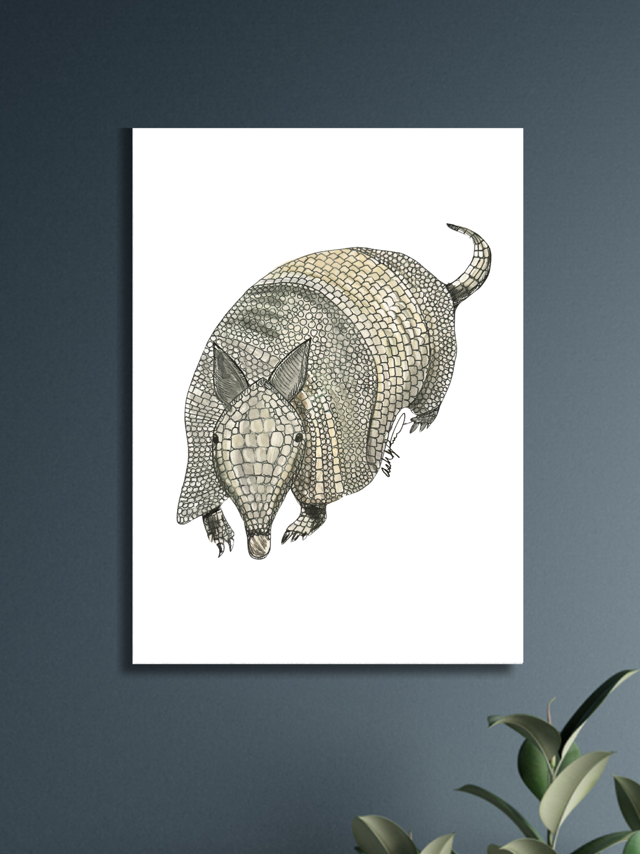 Armadillo (Color) Print