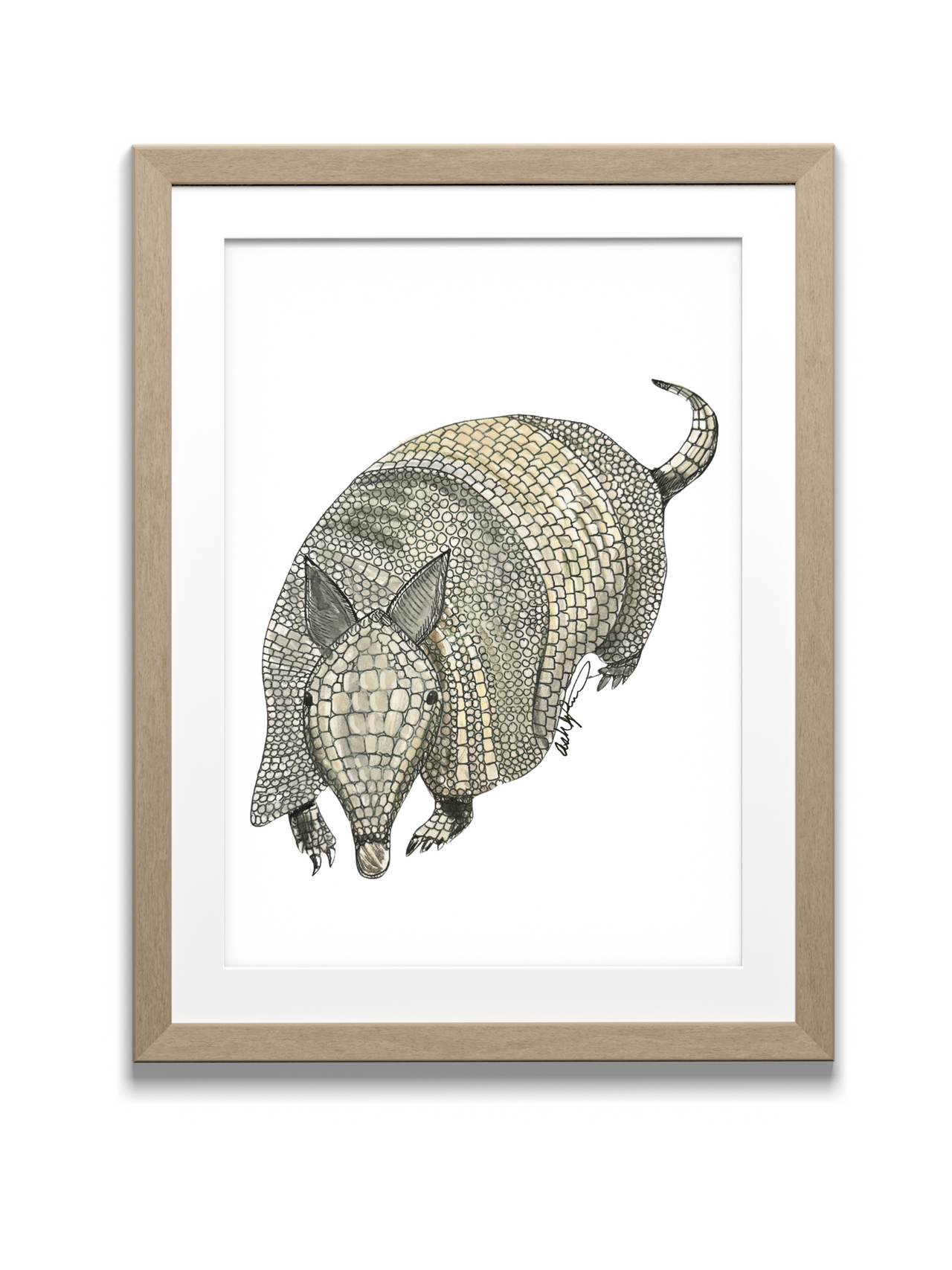 Armadillo (Color) Print