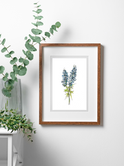 bluebonnet print in a wood frame on white wall