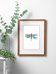 dragonfly art print  in wood frame