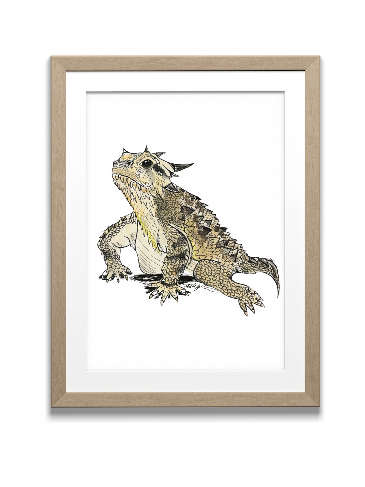 Horned Toad (Color) Print