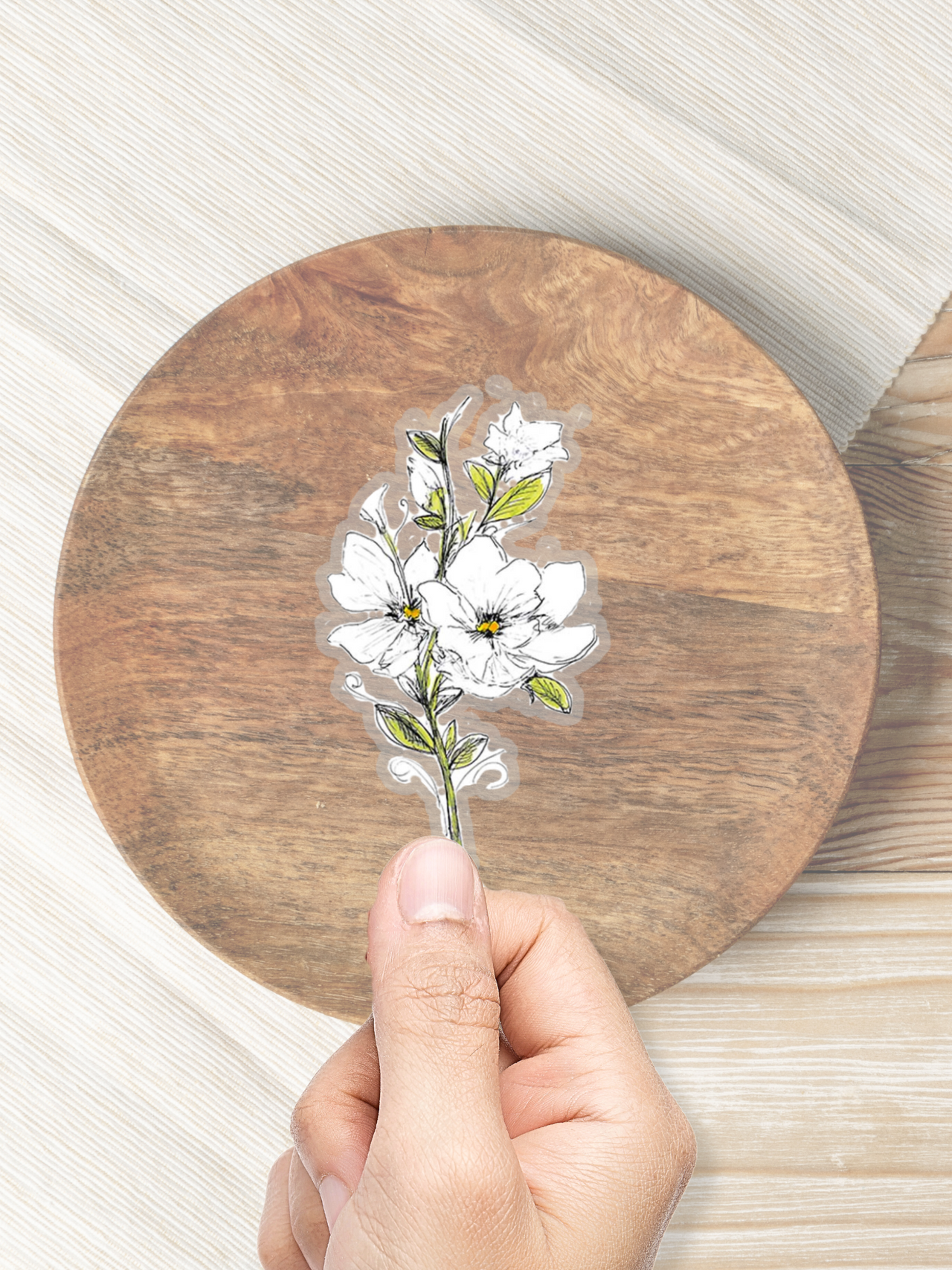 white magnolia flower sticker with clear background against a table