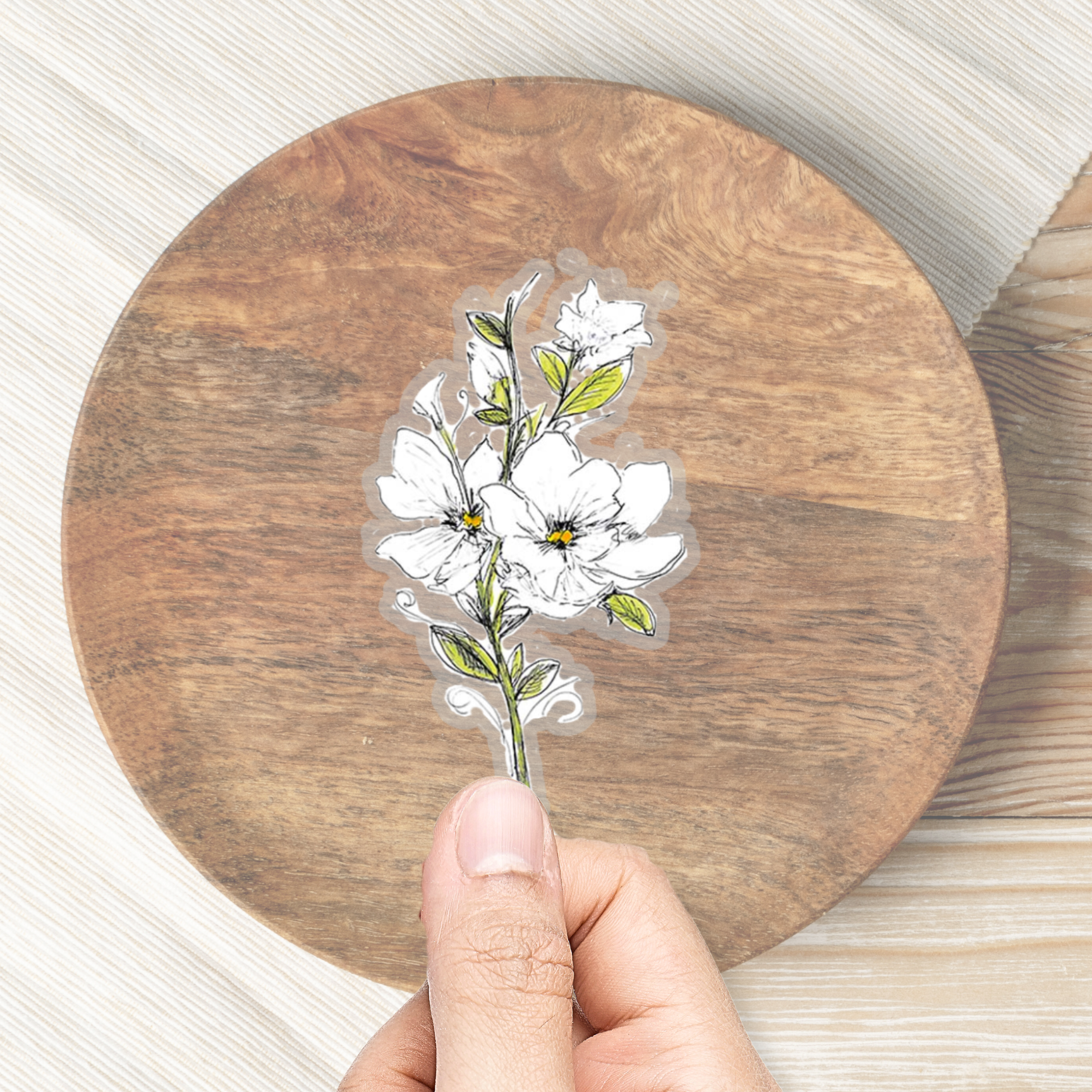 white magnolia flower sticker with clear background against a table