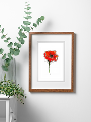 red poppy art print in wood frame