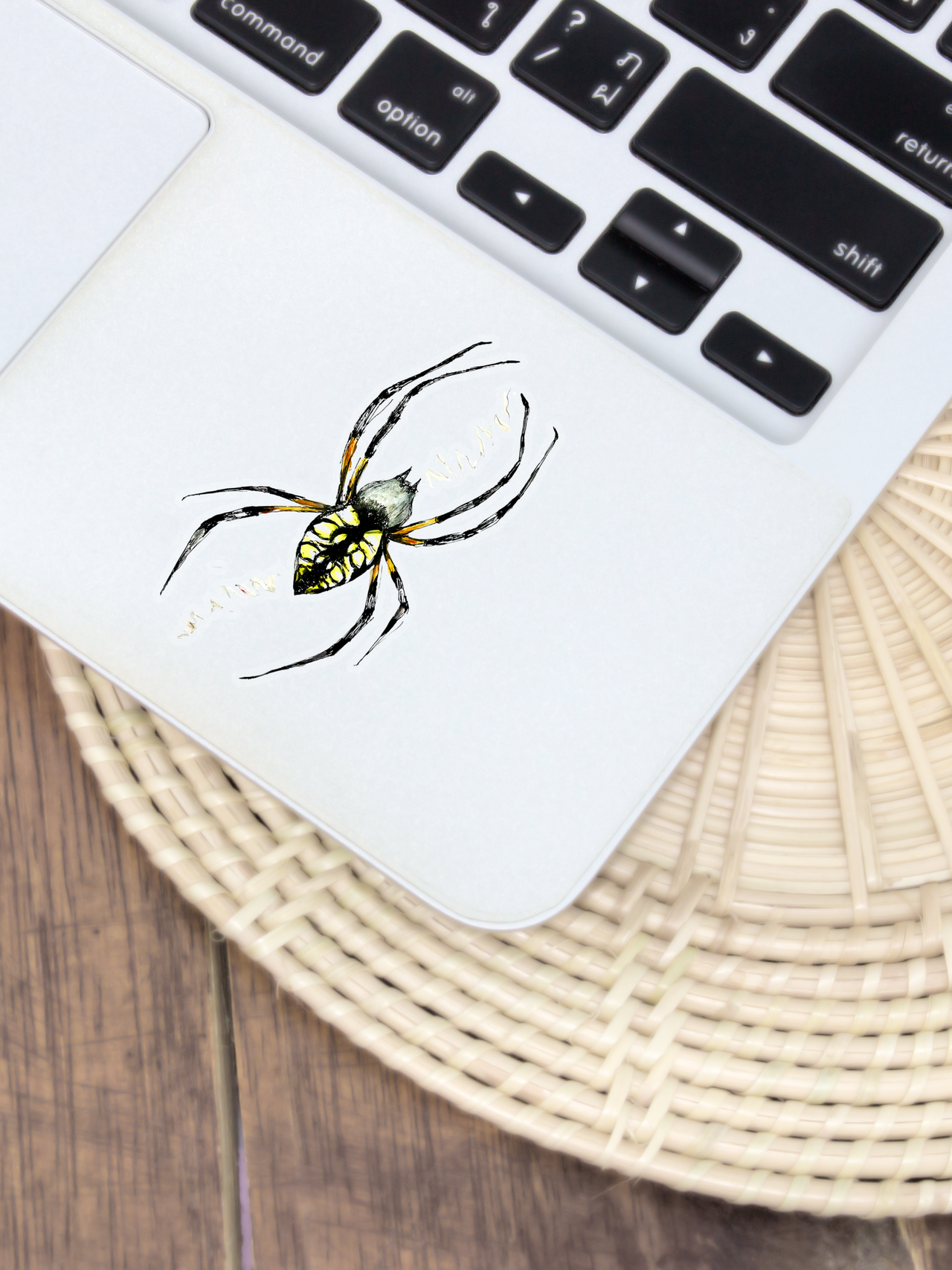 Writing Spider Sticker