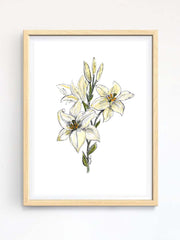 Daylily Watercolor and Ink - Original Art Print. Situated within a wooden frame