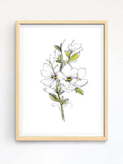 magnolia watercolor and ink - original art print in wooden frame